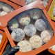 Мафін Великодній мікс 9 штук (родзинки, курага, макова начинка) 550 грам (є опт, можна бронювати відправку на потрібну дату)