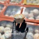 Мафін Великодній з родзинками 1 кг (є опт, можна бронювати відправку на потрібну дату)