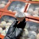 Мафін Великодній з маковою начинкою 1 кг (є опт, можна бронювати відправку на потрібну дату)