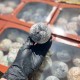 Мафін Великодній з маковою начинкою 1 кг (є опт, можна бронювати відправку на потрібну дату)